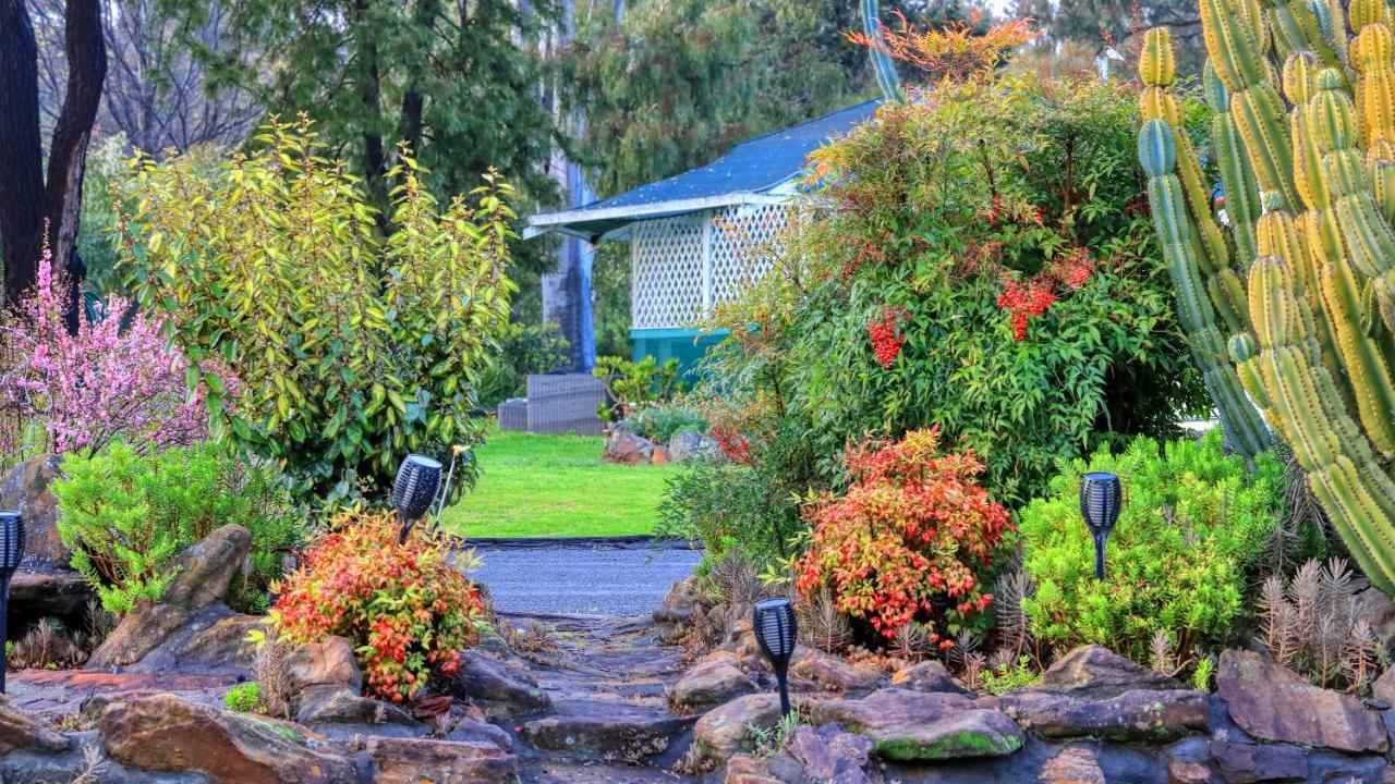 Azalea Motel Coonabarabran Exterior foto