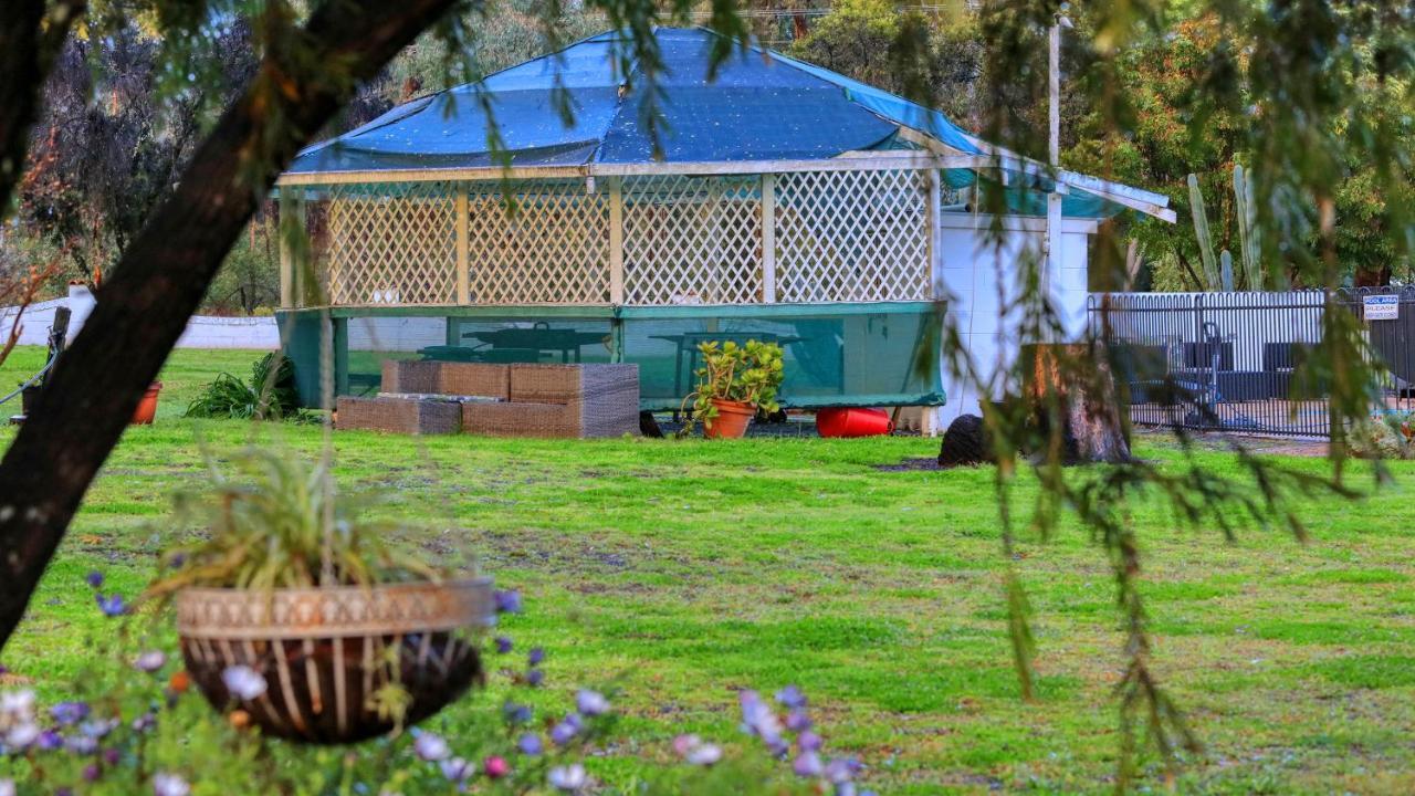 Azalea Motel Coonabarabran Exterior foto