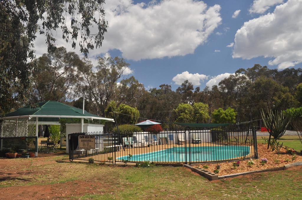 Azalea Motel Coonabarabran Exterior foto